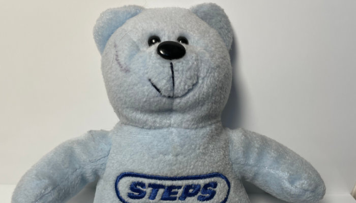 Steps Bean Bears