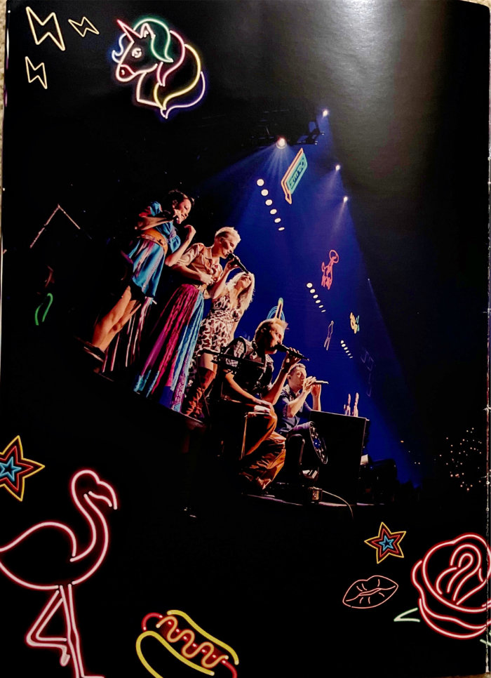 Steps tour programme